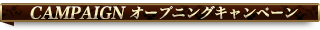 キャンペーン